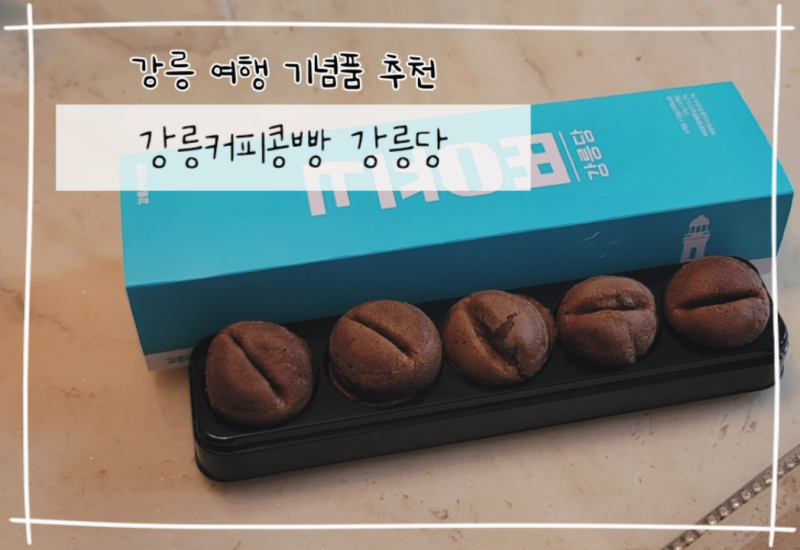 강릉커피콩빵 강릉당 5구 후기, 강릉 기념품빵으로 추천