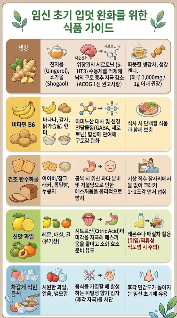입덧 완화 음식 추천, 임산부라면 필독!