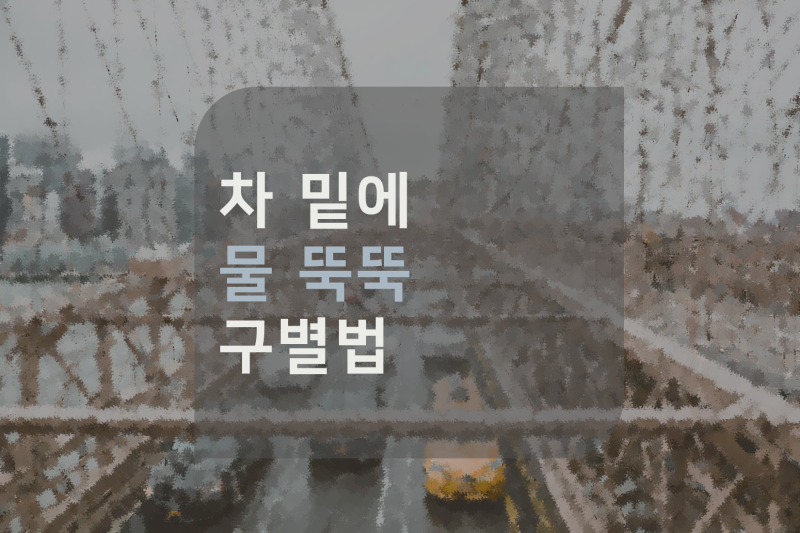 차 밑에서 물이 뚝뚝 떨어집니다. 고장일까요? 자동차 정비사가 알려주는 '정삭적인 물'과 '....