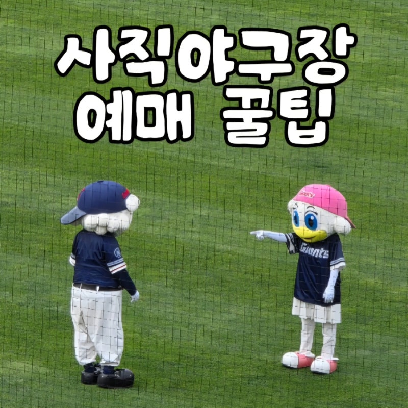 야구 | 사직야구장 예매 꿀팁 총정리 자리추천과 실제 예매 성공 노하우