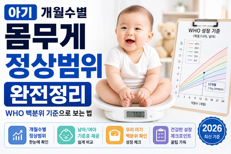 아기 몸무게 정상범위 완전정리 — 개월수별 WHO 백분위 기준으로 보는 법