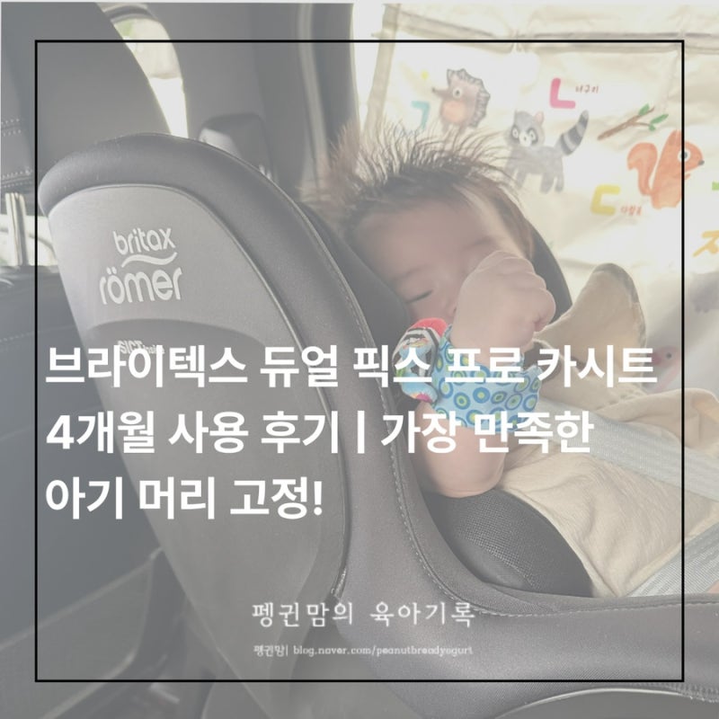 브라이텍스 듀얼 픽스 프로 카시트 4개월 사용 후기｜가장 만족스러운 신생아 머리 고정
