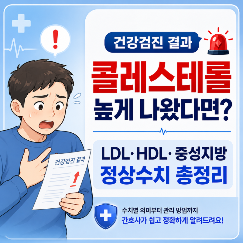 건강검진 콜레스테롤 높게 나왔다면? LDL·HDL·중성지방 제대로 알아보기