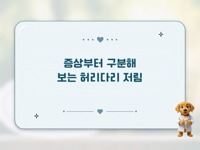 수원정형외과가 설명하는 허리다리 저림 원인 좌골신경통, 스트레칭 할 때 주의사항