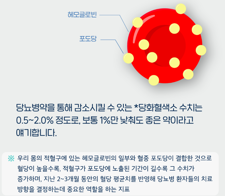 당뇨 40대 추천 영양제 고르는 법 TOP5