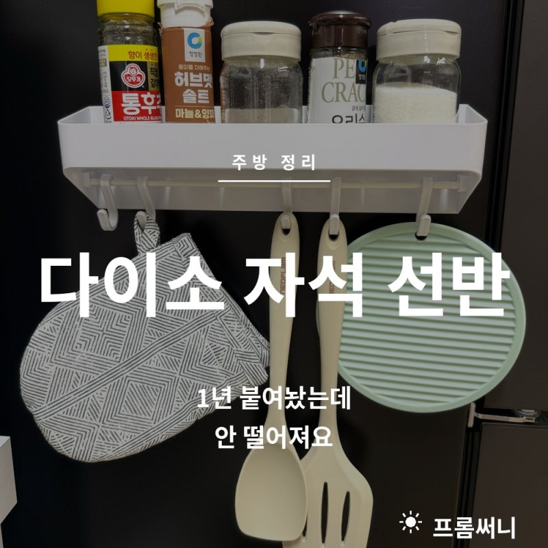다이소 살림템 자석 선반, 냉장고에 1년 붙여놨는데 안 떨어져요!