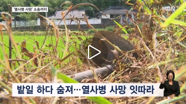 밭일하다 사망 잇따라…열사병은 질병? 상해? 소송전까지 [MBN뉴스]