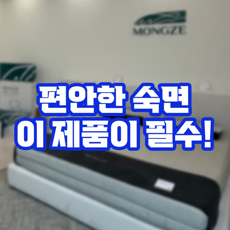 잠실역 매트리스 추천, 직접 체험해본 몽제 쇼룸 몽제 매트리스