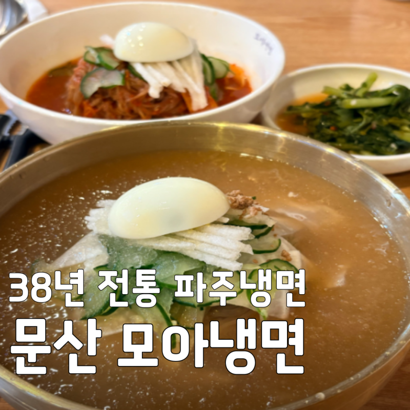 38년 전통 생활의달인 은둔식달 파주냉면, 문산 모아냉면 주차 웨이팅 총정리