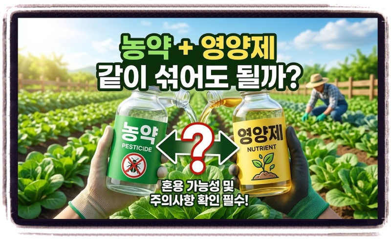 엽면시비 제대로 하는 법, 농약 혼용이 위험한 진짜 이유