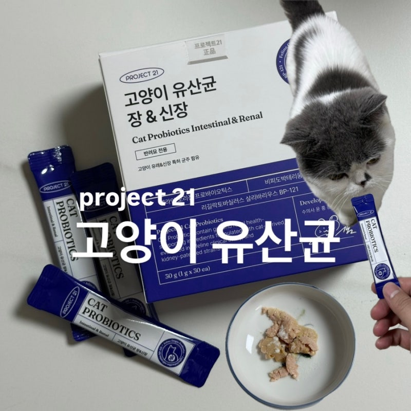 고양이카페에서 추천받은 프로젝트21 고양이 유산균 장&신장 케어 변비탈출 후기