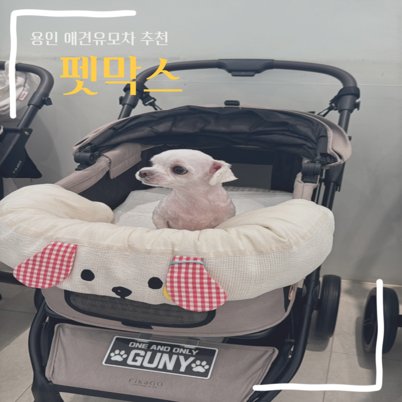 오토폴딩 원조 피카고 애자일2 l 펫막스 애견유모차 후기