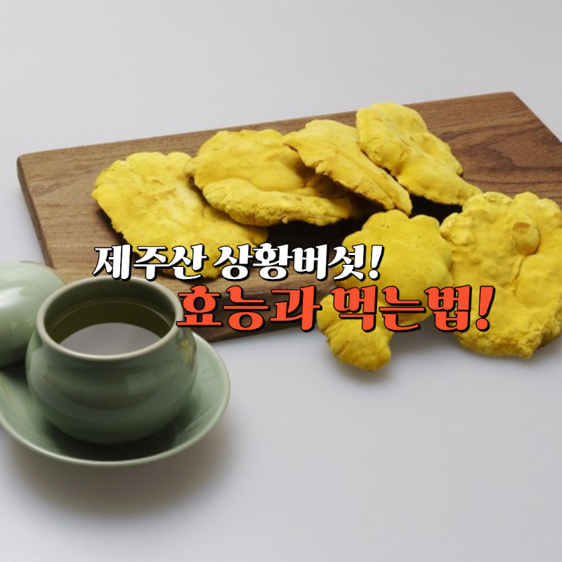 상황버섯 효능과 부작용, 먹는 법까지 알아보기