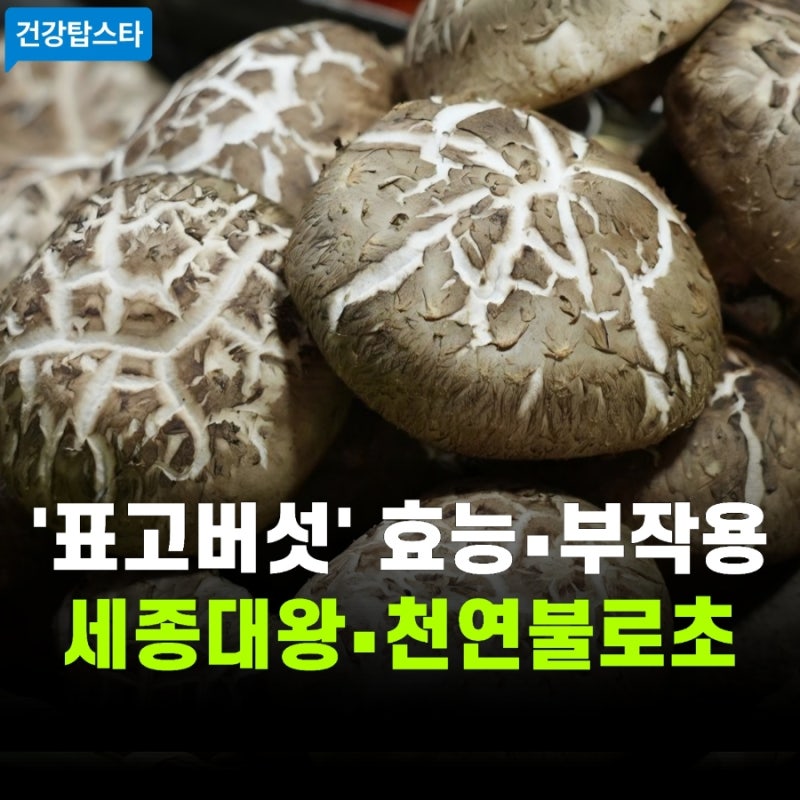 표고버섯 효능과 부작용 | 조선 왕실 수라상 최고급 식재료! 올바른 섭취법