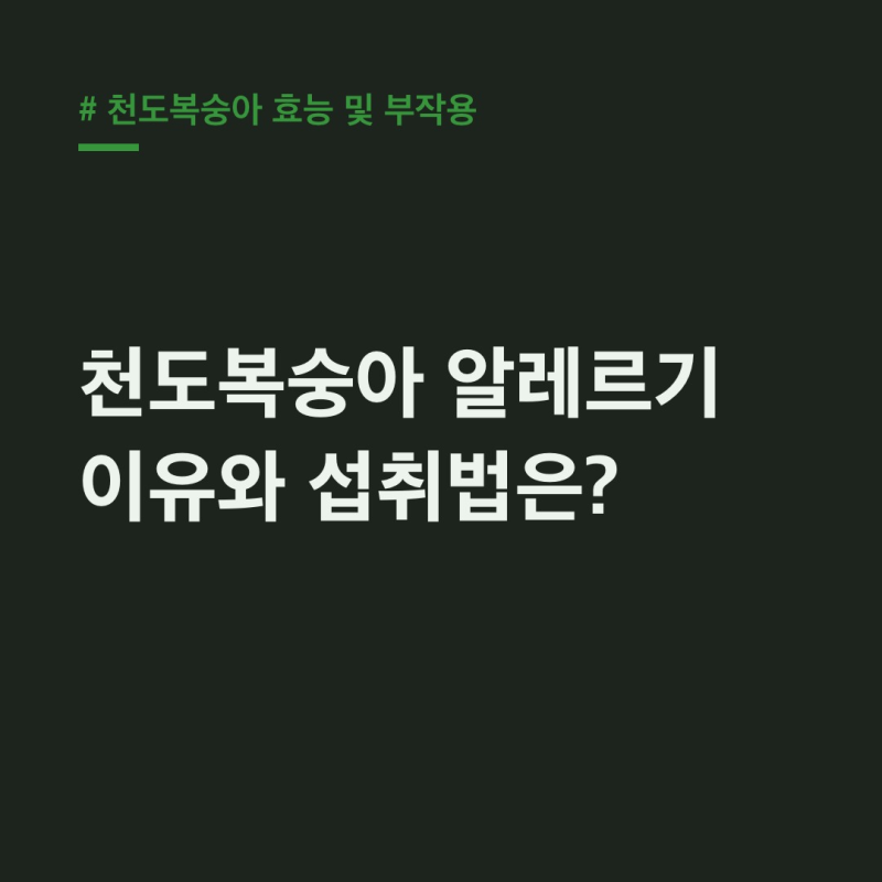 천도복숭아 효능 부작용, 알레르기 원인부터 껍질 섭취까지