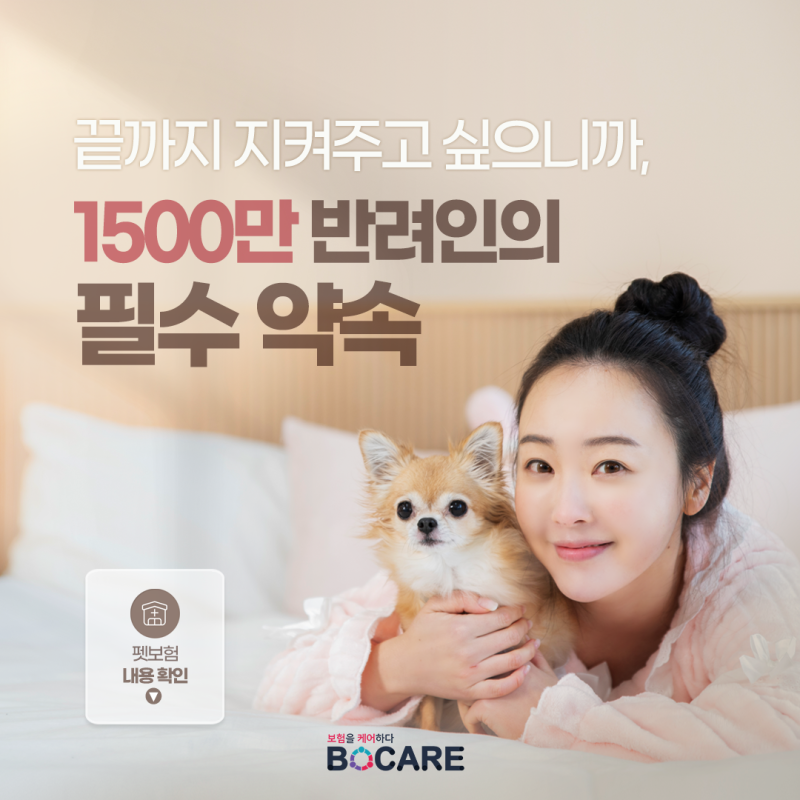 강아지, 고양이도 사람처럼 실비가 있다고?
