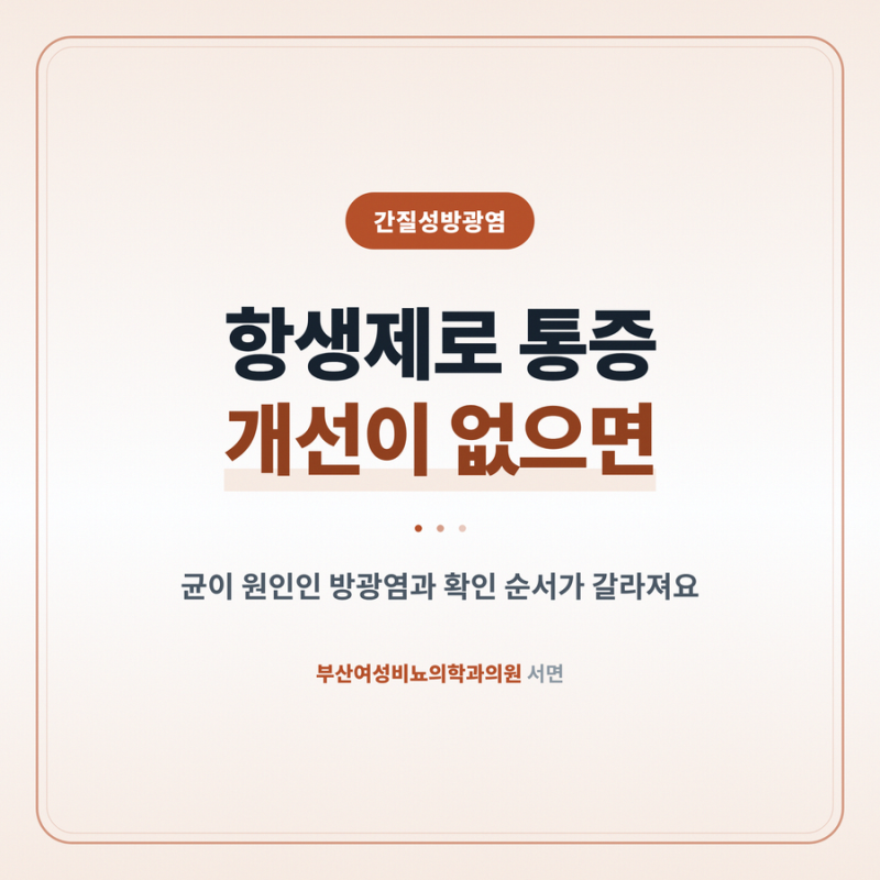 간질성방광염 항생제로 통증 개선이 없으면