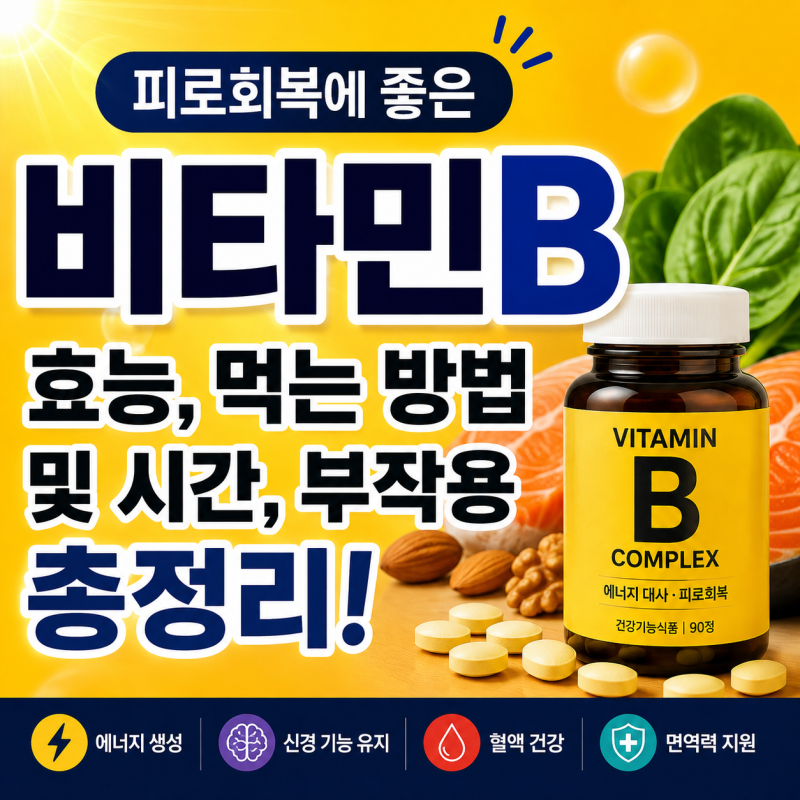피로회복에 좋은 비타민B 효능, 먹는 방법 및 시간, 부작용까지 총정리