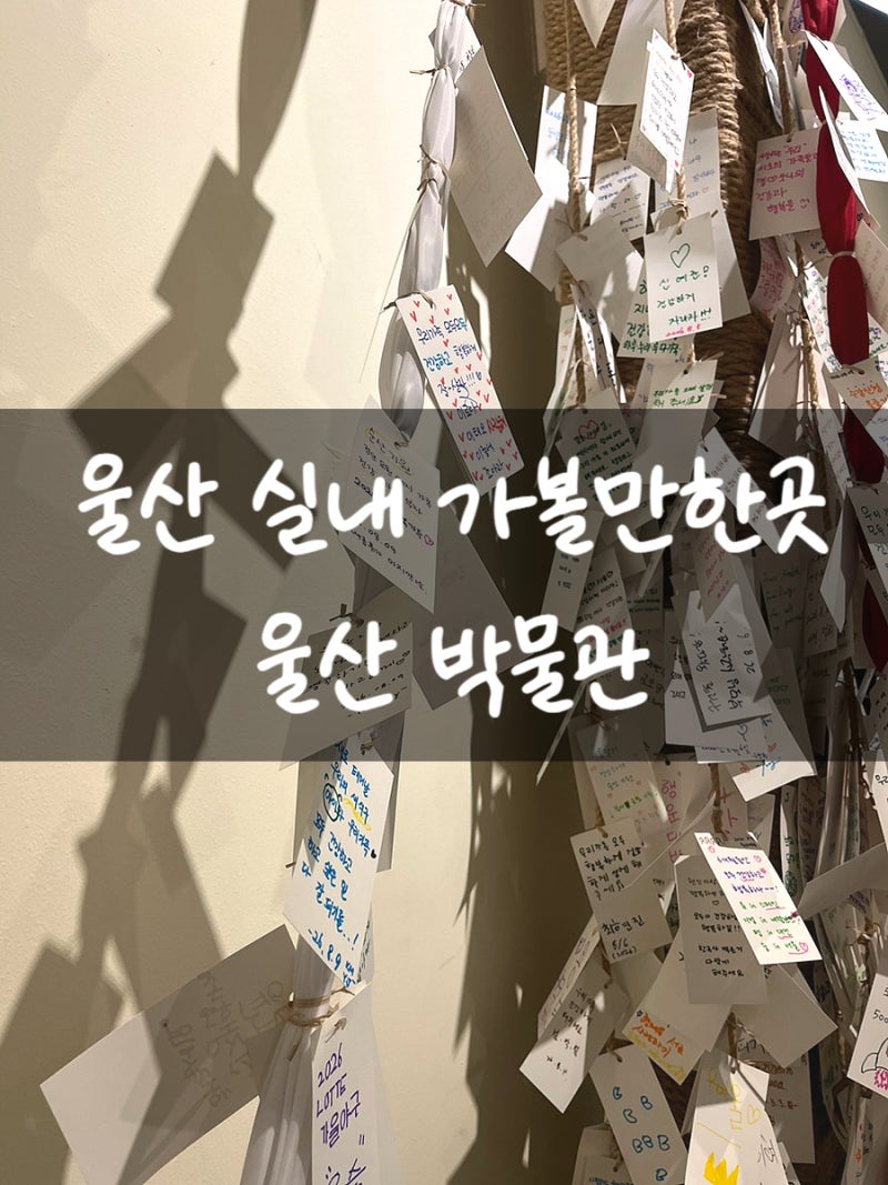 울산 가볼만한곳 폭염 피하기 좋은 무료 실내 전시 아이와 함께 울산박물관 후기