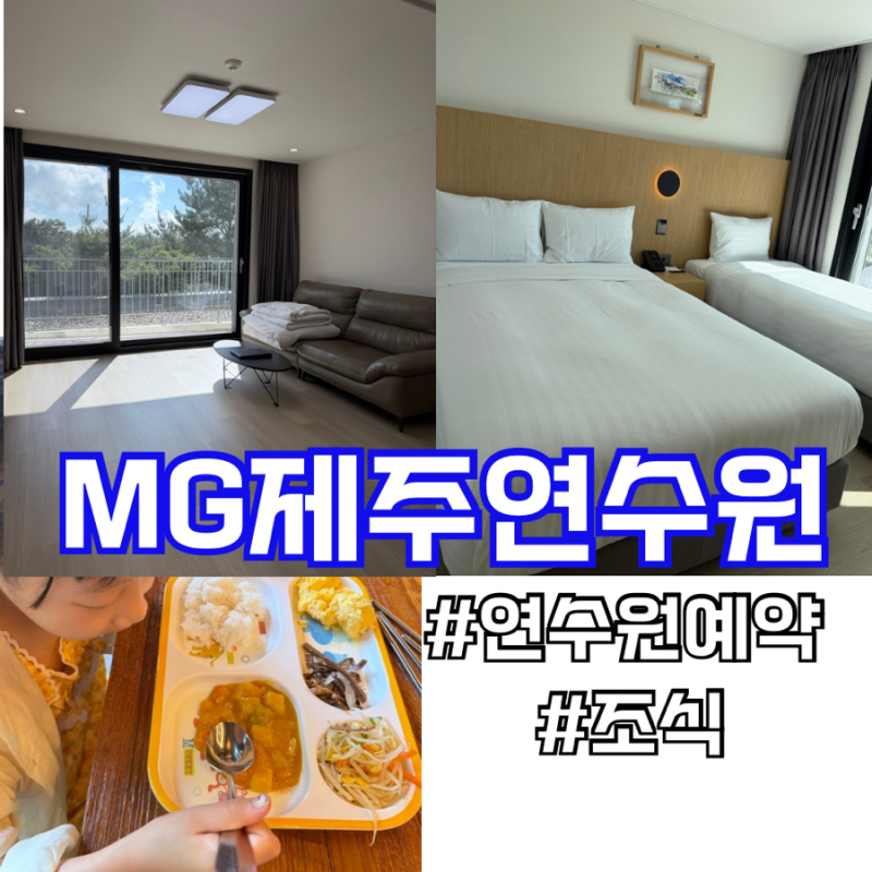 새마을금고제주연수원 2박3일 리조트동 스위트룸 예약방법,조식 후기
