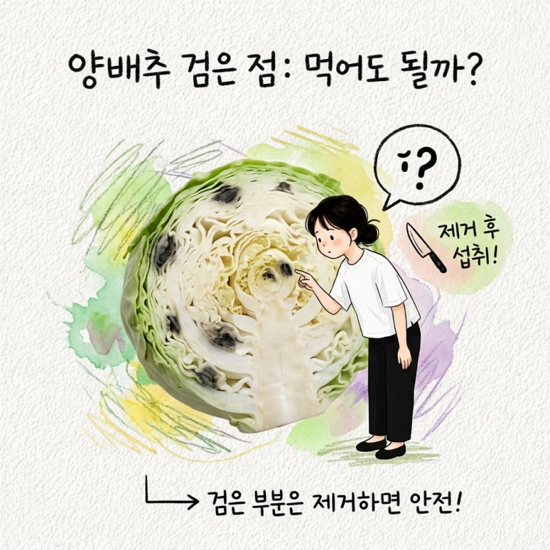 양배추 검은 점과 거뭇한 부분 먹어도 되는지 판단하는 기준