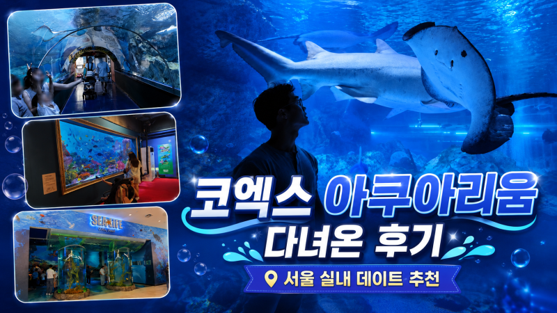 [서울 강남/삼성] 코엑스 스타필드 아쿠아리움 후기｜코엑스몰 씨라이프 할인 주차 정보｜서....