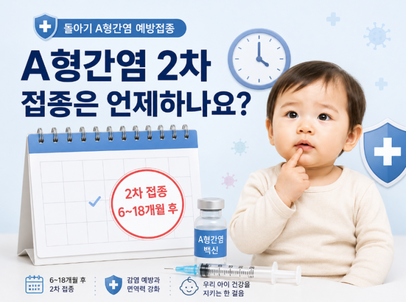돌아기 A형간염 예방접종 시기 1차 2차 간격과 부작용