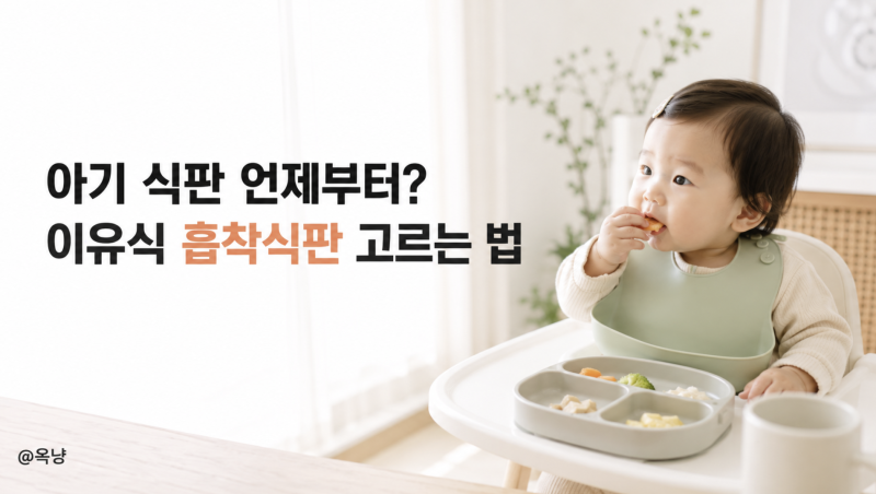 아기 식판 언제부터? 이유식 흡착식판 고르는 법