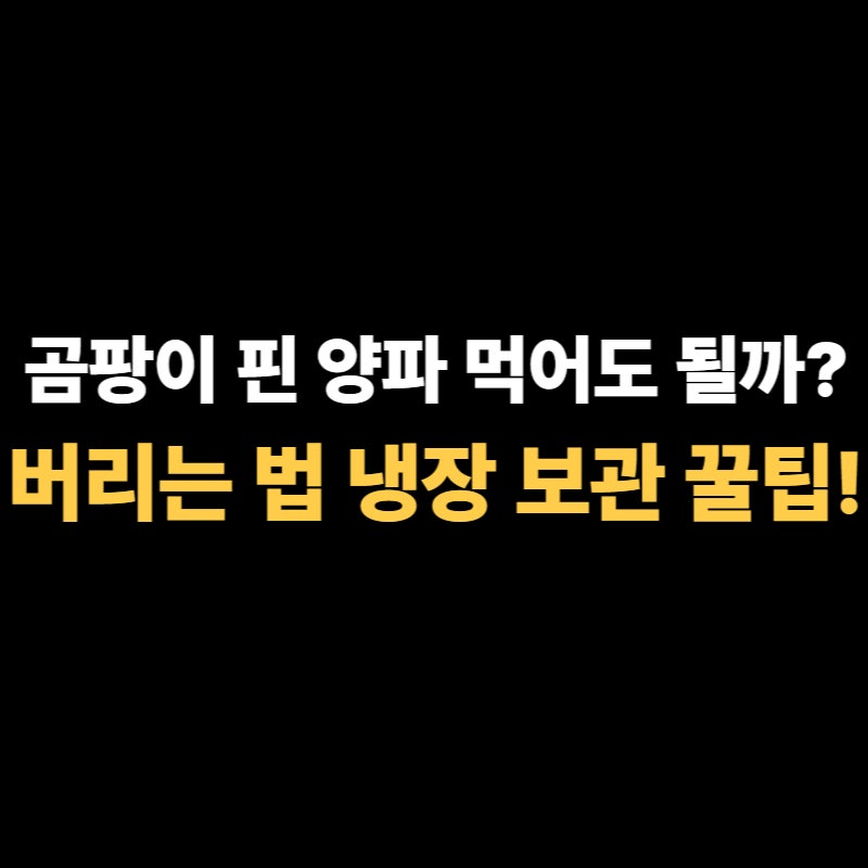 곰팡이 핀 양파 먹는법과 버리는 법 실온 냉장 보관 꿀팁!