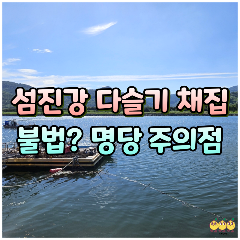 하동 섬진강 다슬기 잡는곳 꿀팁 주의점