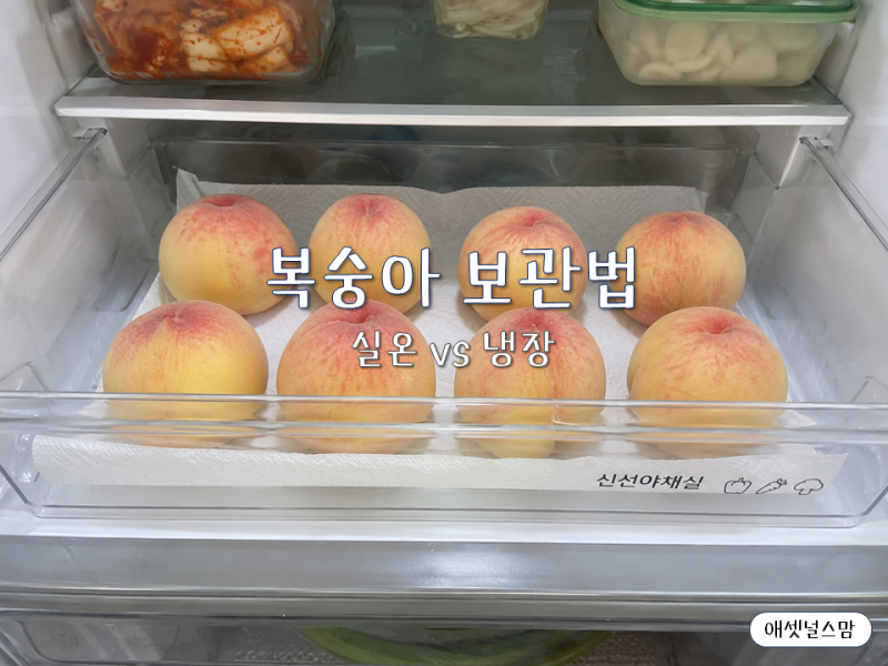 하루 만에 물러집니다, 복숭아 보관법 제대로 보기