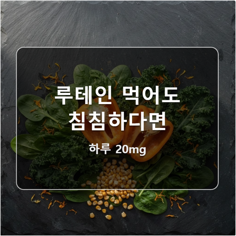 루테인 하루 10mg 기준은 어디서 왔을까? 황반색소와 203년의 기록