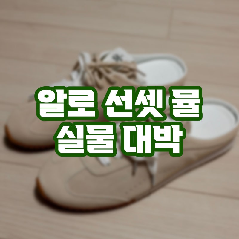 알로 선셋 뮬 신발 alo Sunset Sneaker Mule sandstone 착용 후기