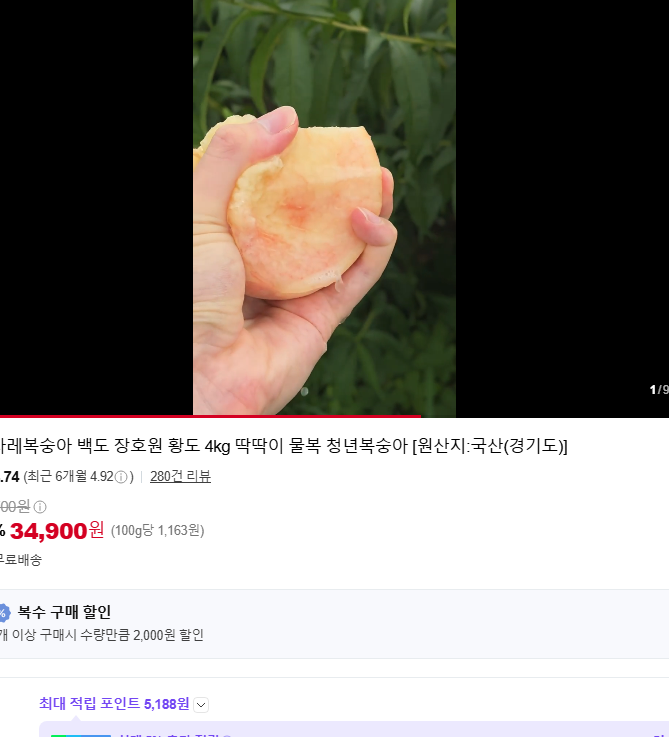 햇사레복숭아 후기 추천 - 직원이 알려주는 딱딱이 물복 황도 백도 고르는 법