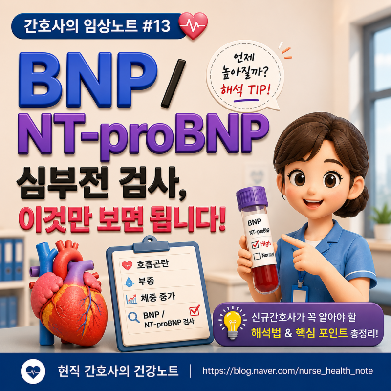 간호사의 임상노트 #13 | BNP·NT-proBNP, 심부전 혈액검사 이것만 보면 됩니다