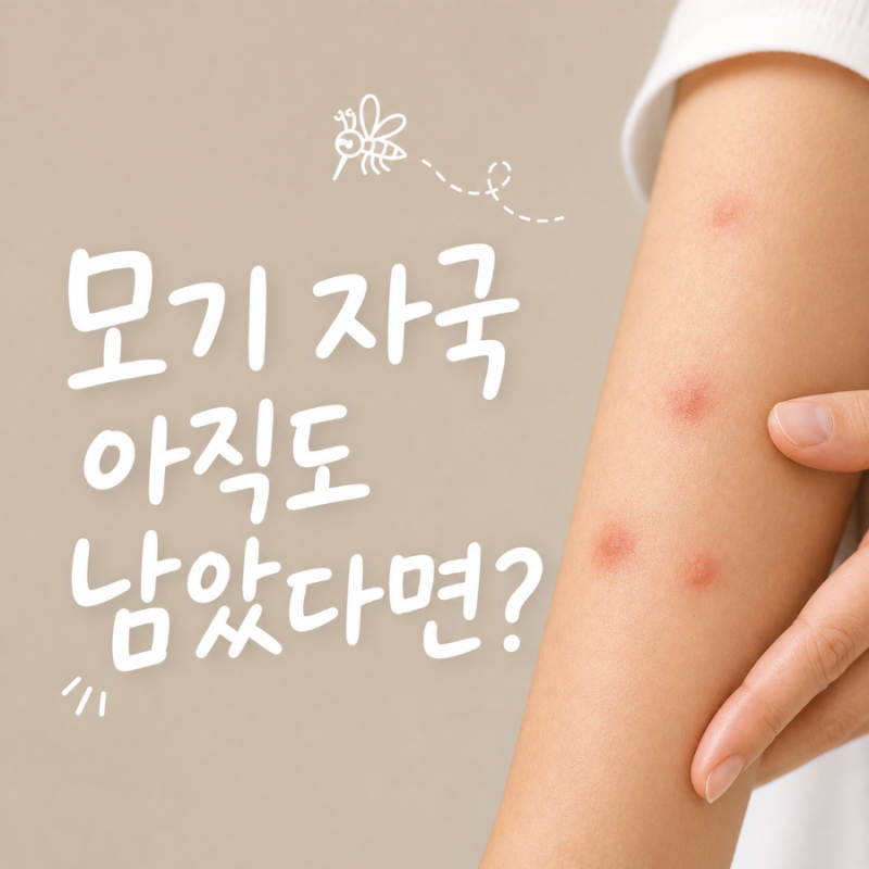 모기 물린 자국 왜 안 없어질까? 거뭇한 흔적 관리하는 방법