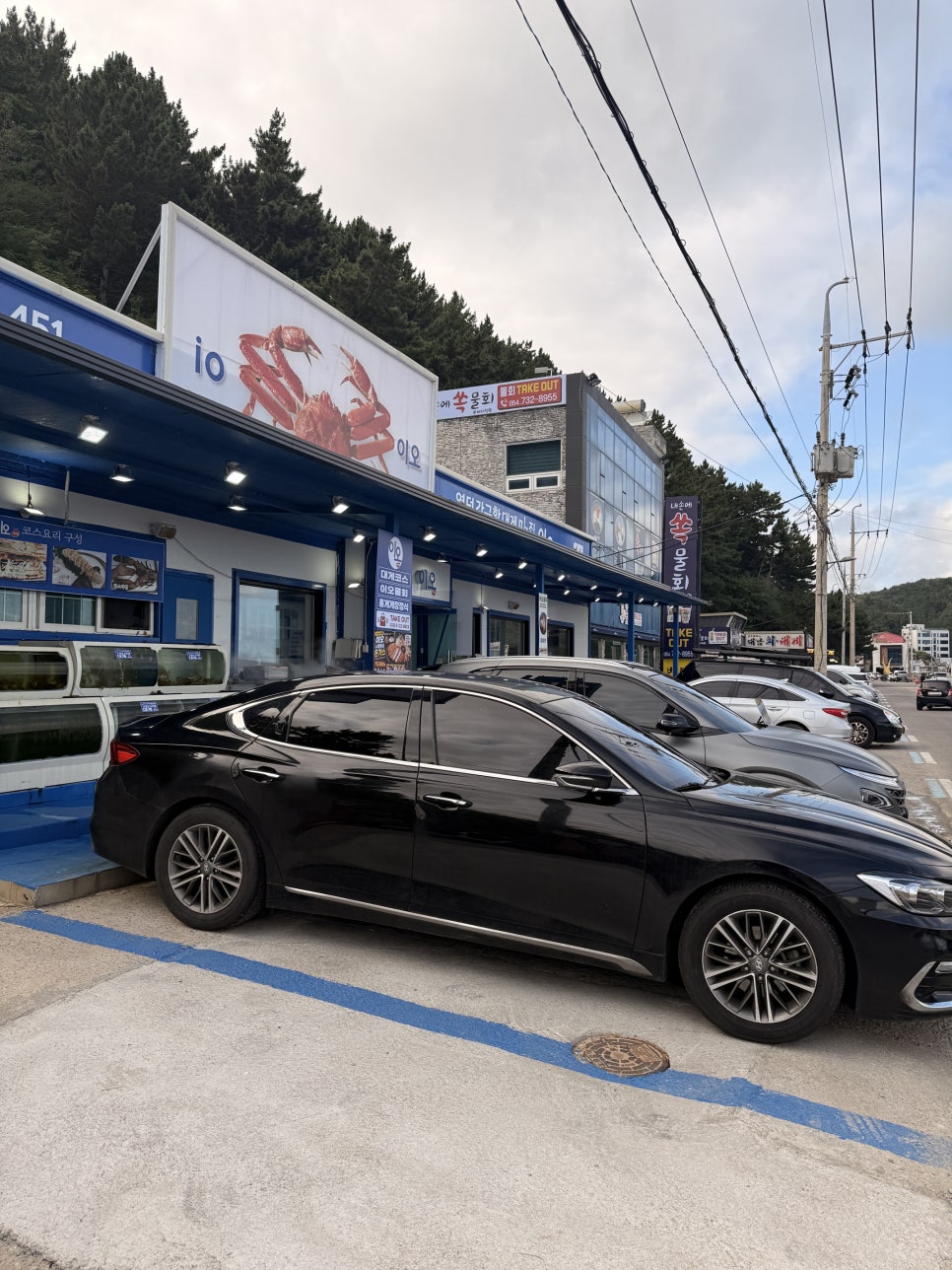강구항대게 사진 3
