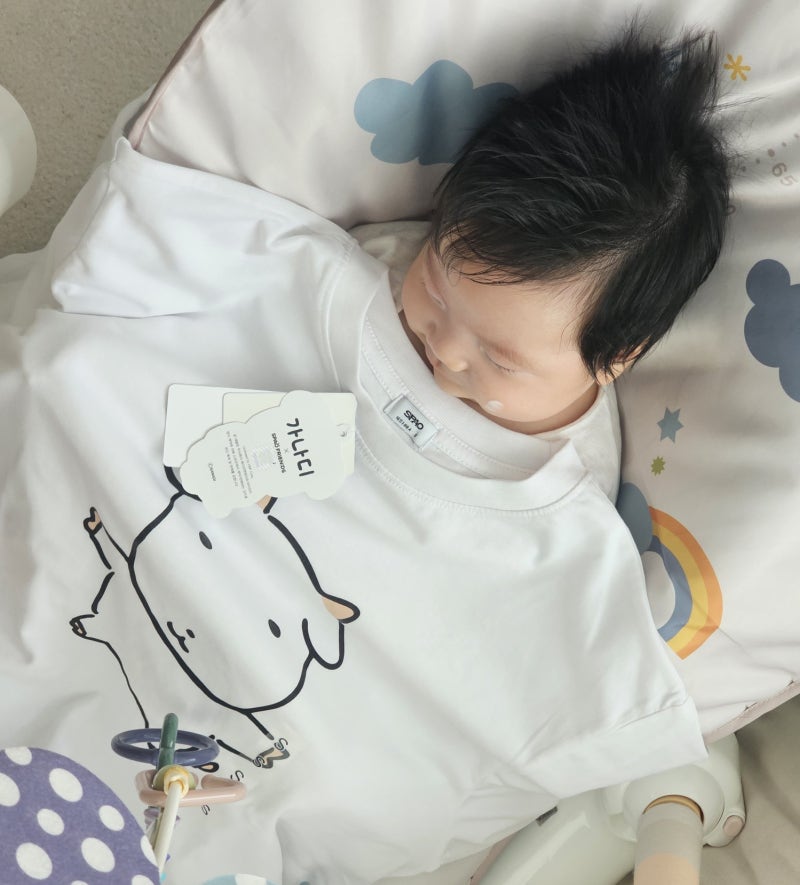 스파오 가나디 별자리 티셔츠 오픈런 실물 가족티셔츠 후기