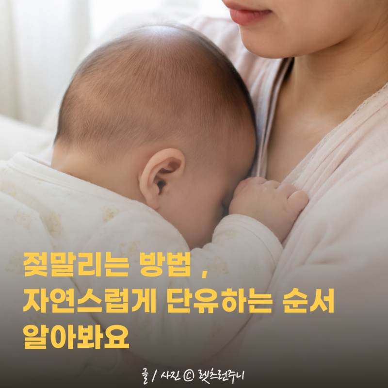 젖말리는 방법 , 자연스럽게 단유하는 순서 알아봐요
