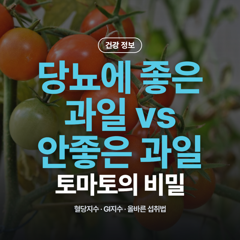 당뇨에 안좋은 과일 좋은 과일 구분법과 토마토가 사랑받는 진짜 이유