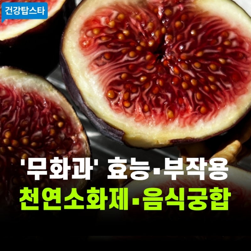 무화과 제철 의외로 모르는 효능, 칼로리 부작용 체크 올바른 복용법 총정리