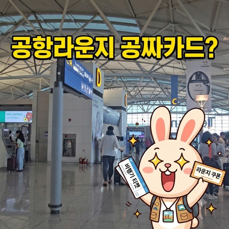 "공항 라운지 무료?" 트래블 체크카드 TOP3 혜택 비교