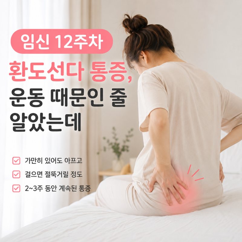 임산부 환도선다 통증, 임신 12주차부터 2~3주간 아팠던 후기