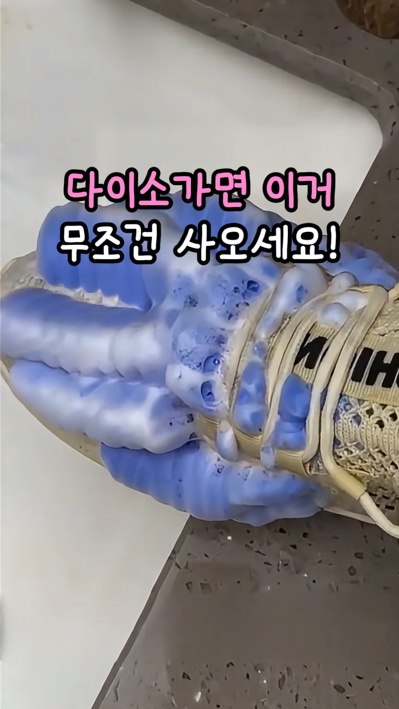 [단독] 세탁소 사장님이 귓속말로 알려준 ‘다이소 품절 대란템’ 직접 써본 솔직 후기