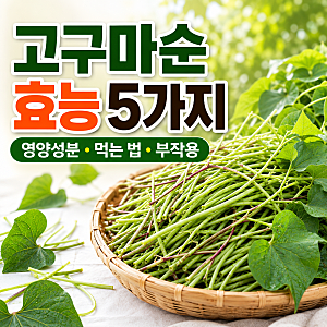 고구마순 효능 5가지, 영양성분부터 먹는 법·부작용까지