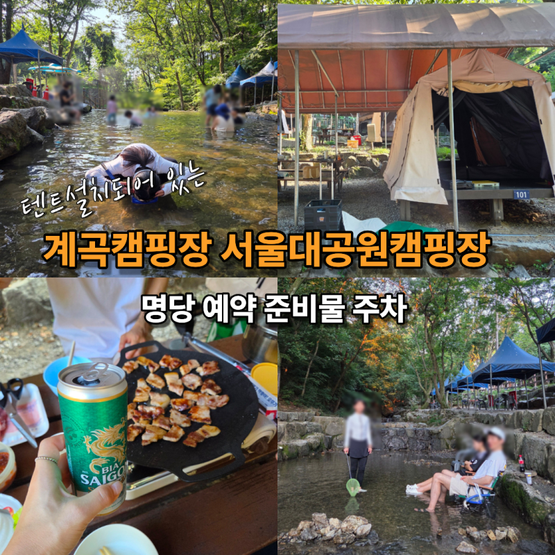 과천서울대공원캠핑장 계곡캠핑장 예약 피크닉 준비물 명당 주차