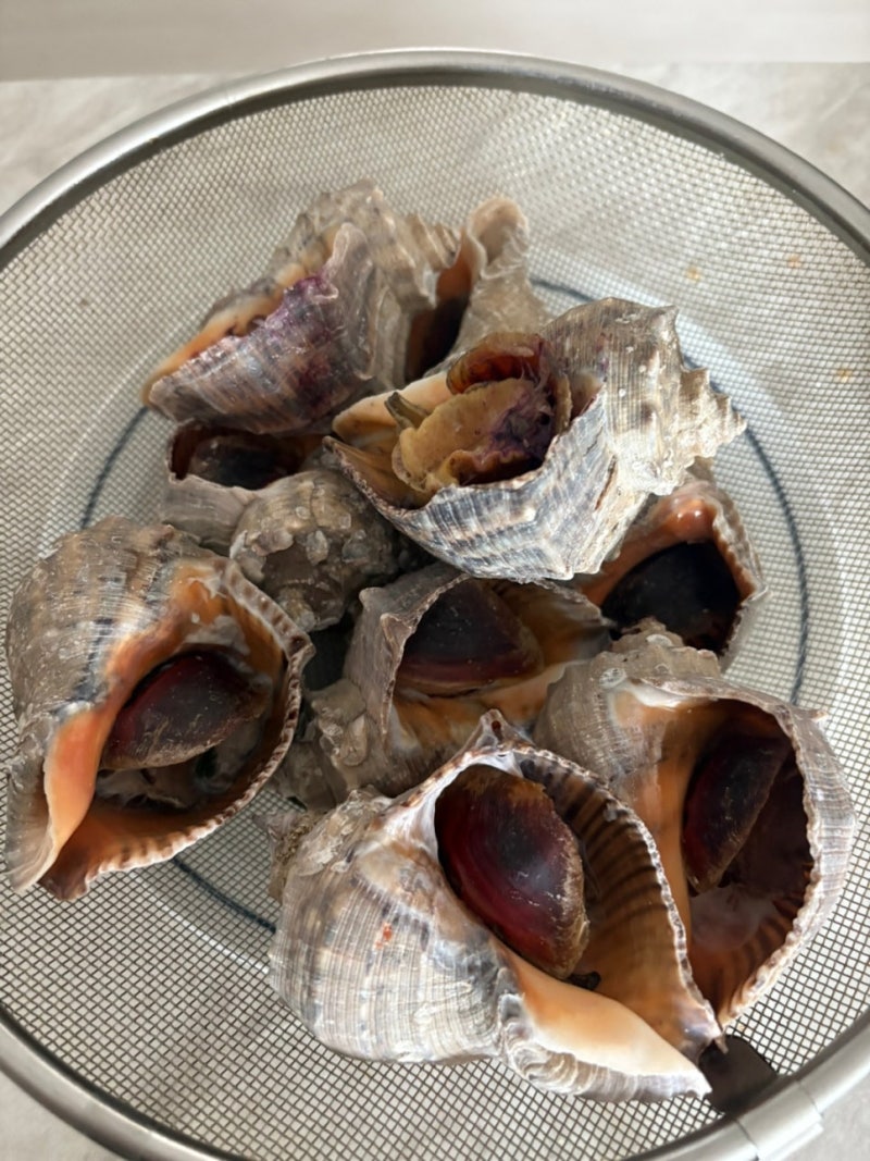 소라 맛있게 삶는 법, 찌는법 손질법까지