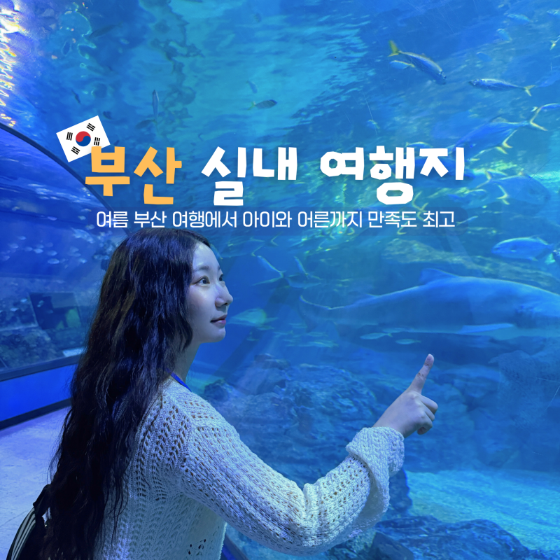 부산 실내 가볼만한곳 아이랑 여행 부산 해운대 아쿠아리움 놀거리 데이트
