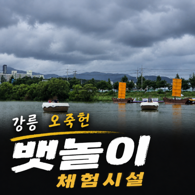 [강릉 가볼만한곳] 강릉 오죽헌 뱃놀이 예약, 주차, 시간 등 생태저류지 보트 타는법 A to Z