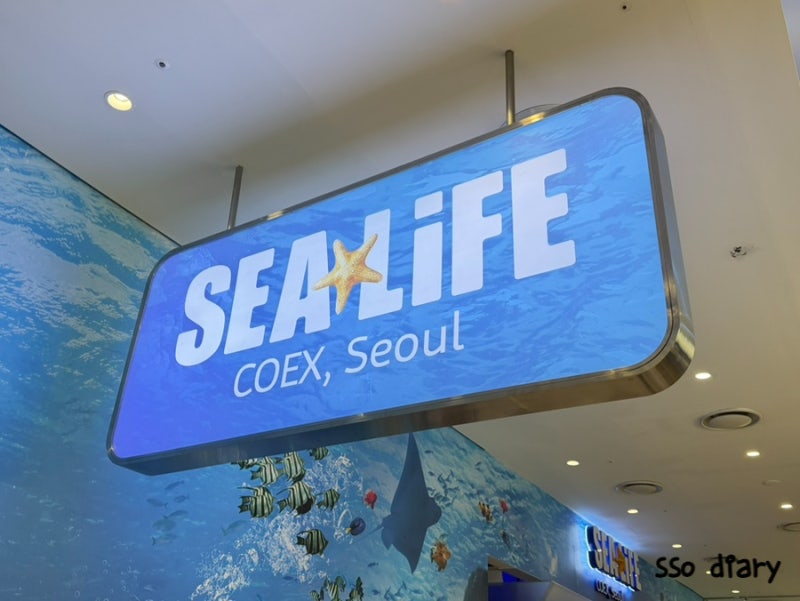 [코엑스][아쿠아리움] 볼거리 가득한 코엑스 실내 데이트 ‘씨라이프 코엑스 아쿠아리움’
